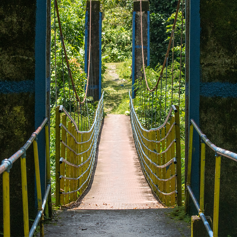 Bridge-tours