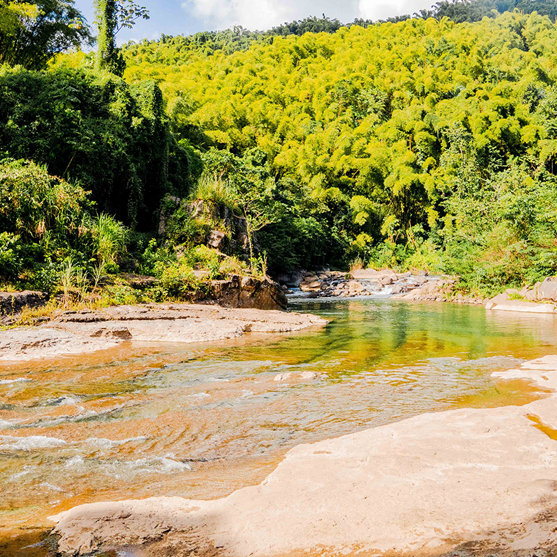 nature-walk-tours