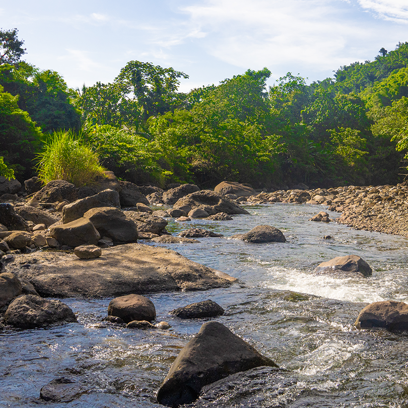 mill-bank-river