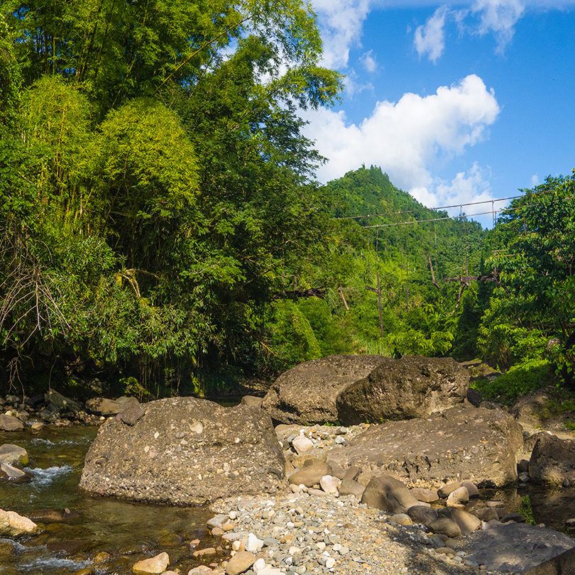 Mill-bank-tours