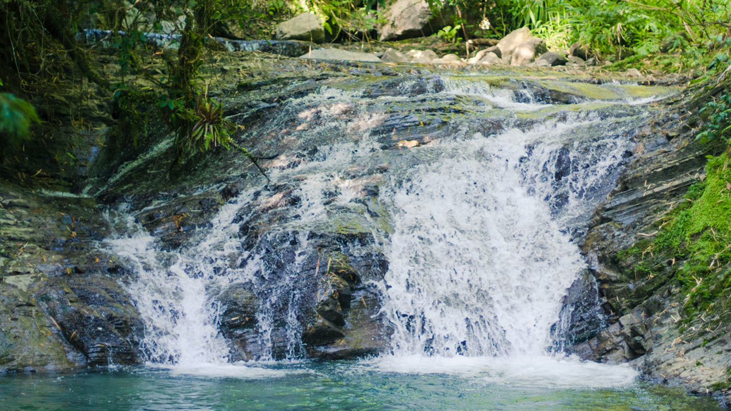 Mill-bank-Tours